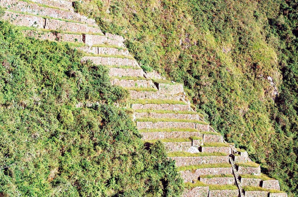 Choquequirao Trek