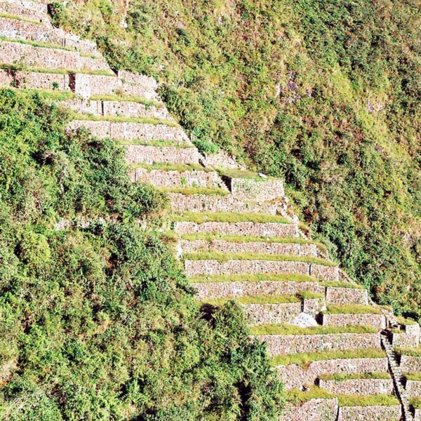 Choquequirao Trek