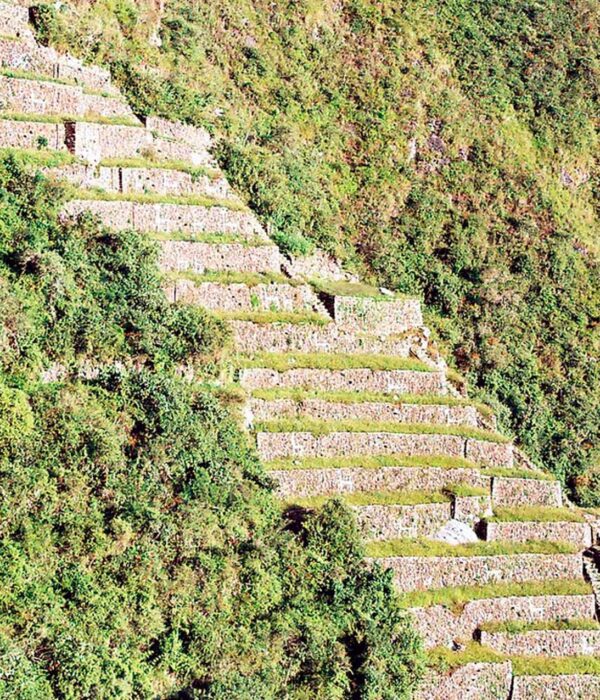Choquequirao Trek