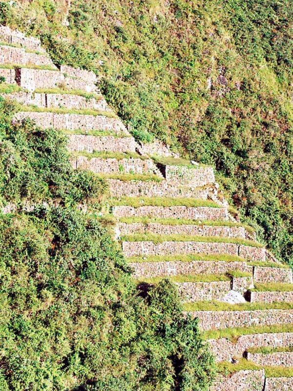 Choquequirao Trek