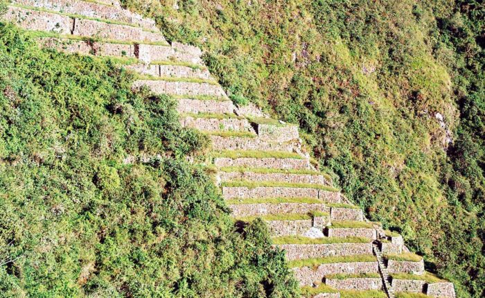 Choquequirao Trek