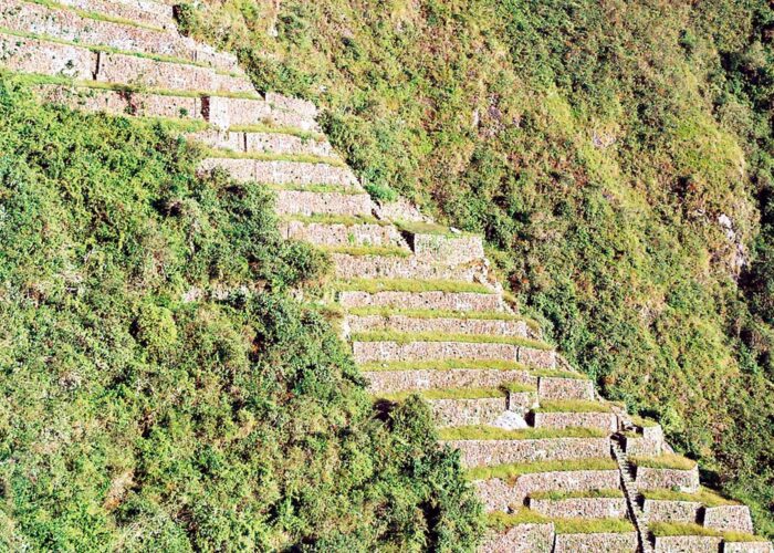 Choquequirao Trek