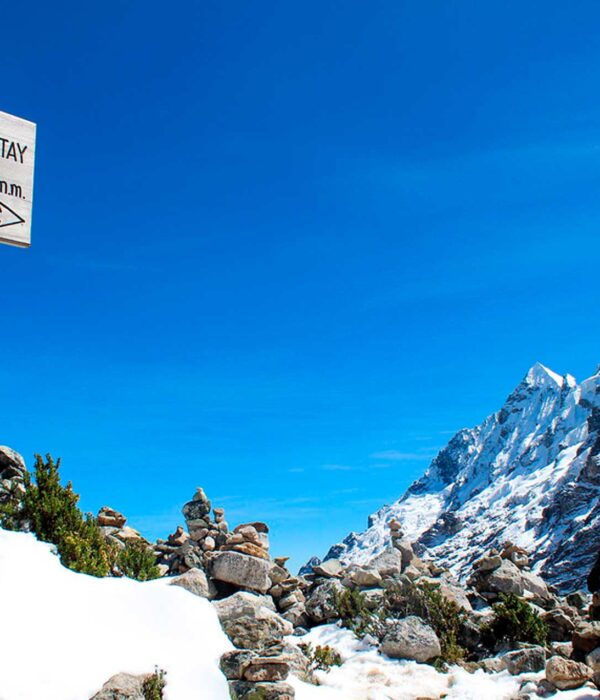 Salkantay Trek