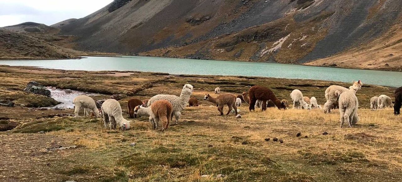 ausangate trek