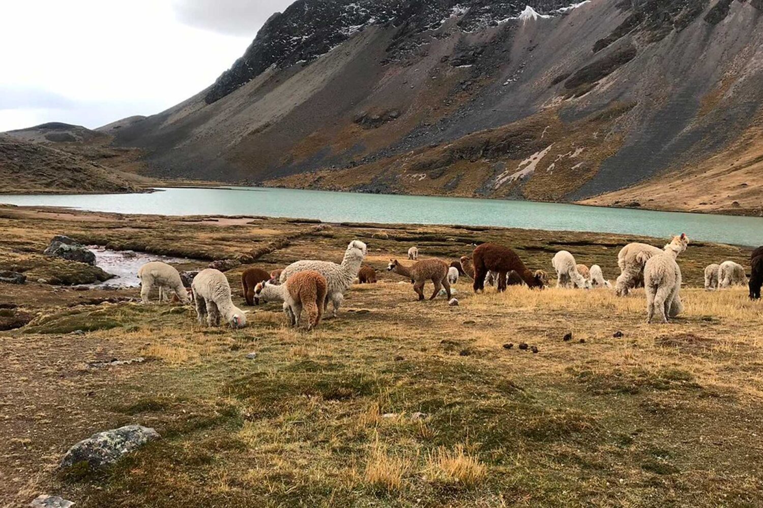 ausangate trek