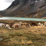 ausangate trek