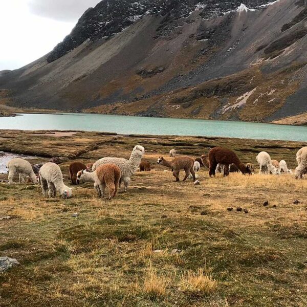 ausangate trek