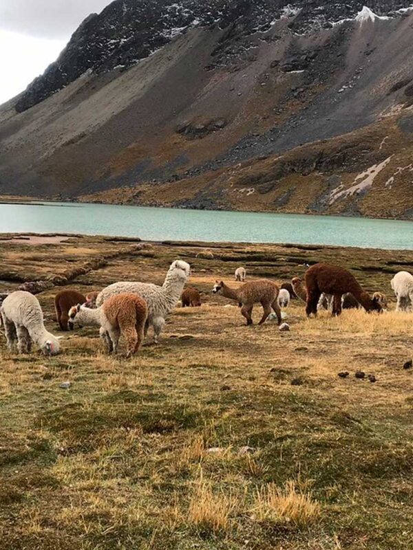 ausangate trek