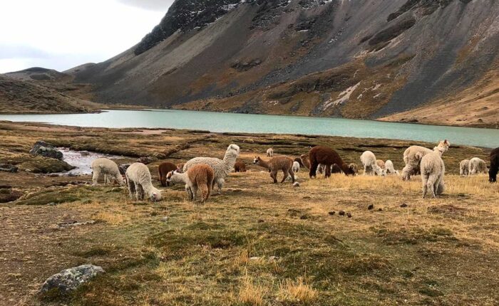 ausangate trek