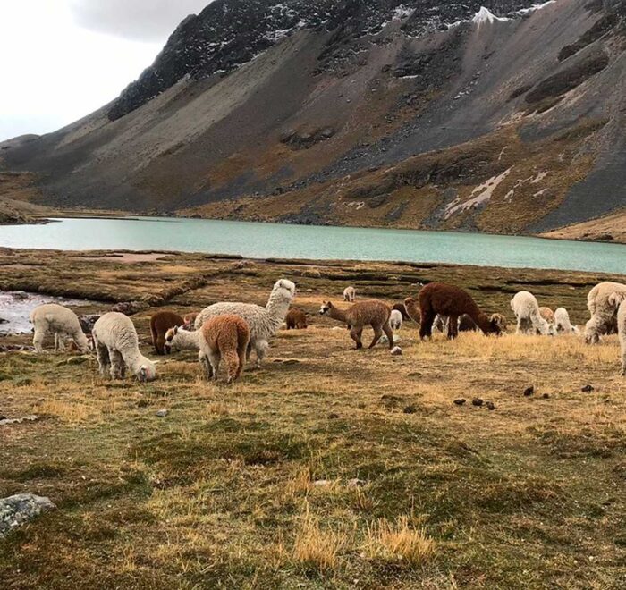 ausangate trek