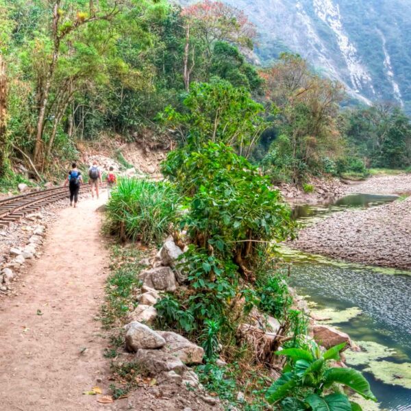 Inca Jungle