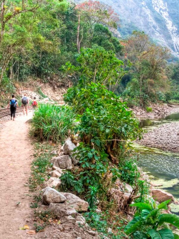Inca Jungle