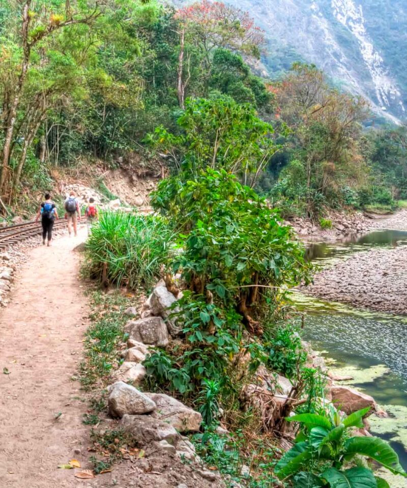 Inca Jungle